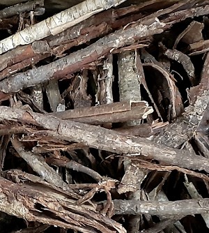 Bayberry Root Bark Whole 1 lb