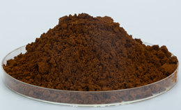 Mesima Mushroom Fruiting Body Powder 25 kg