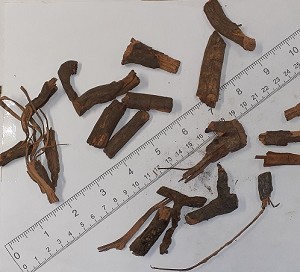 Sarsaparilla Root (Mexican)  Whole 1 lb
