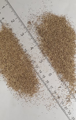 Stone Root Powder 1 lb