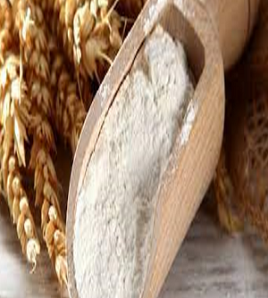 Wheat Hydrolysate 25 kg
