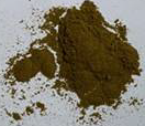 Chanca Piedra 4:1 Powdered Extract, 25 kg (55 lbs)