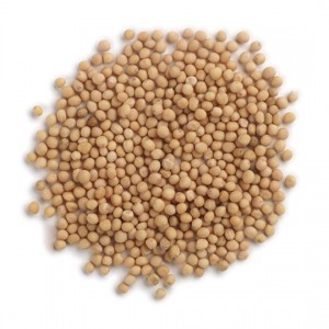 Mustard Seed, Yellow Whole ,1 lb
