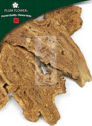 Atractylodes Rhizome, Whole, White, Prepared,  Atractylodes macrocephala, 500 gm bag, 18 oz