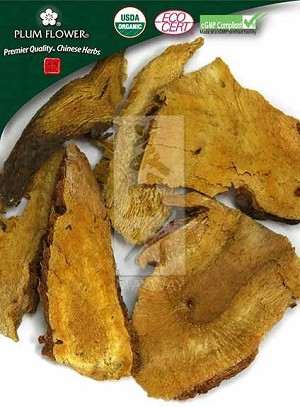 Bushy Knotweed Rhizome whole, unsulfured,  Polygonum cuspidatum, Hu Zhang, 500 gm bag, 18 oz