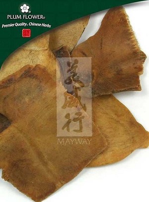 Turtle Shell - Toasted, whole,  unsulfured, Chinemys reevesii, 500 gm bag, 18 oz