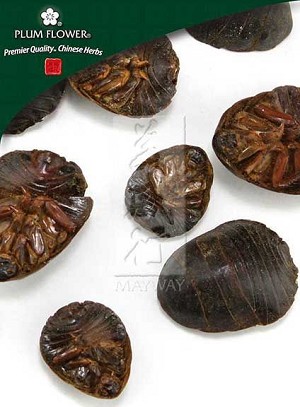 Chinese cockroach  whole, unsulfured, Eupolyphaga sinensis, Tu Bie Chong, 500 gm bag, 18 oz