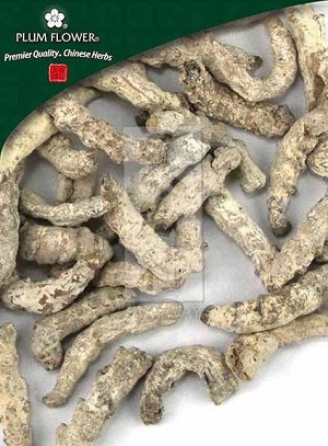 Silkworm newly hatched, whole,  unsulfured, Bombyx mori, 500 gm bag, 18 oz