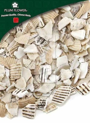 Cockle Shell whole,  unsulfured, Arca granosa, 500 gm bag, 18 oz