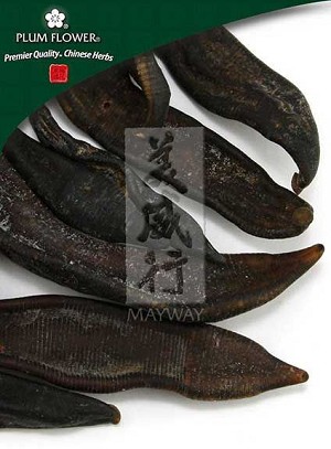 Leech, whole,  unsulfured, Hirudo nipponica, 125 gm bag, 4.4 oz