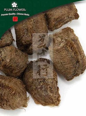 Mantis Egg-Case, whole, unsulfured, Tenodera sinensis, 500 gm bag, 18 oz