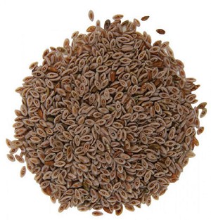 Psyllium Seed Whole 1 lb