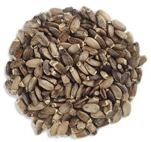Milk Thistle Seed Whole 1 lb