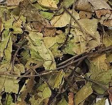 Black Walnut Leaf Whole 20 lbs