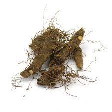 Bloodroot Whole 1 lb