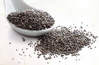Chia Protein Powder (organic, soluble), 10 kg (22 lbs)