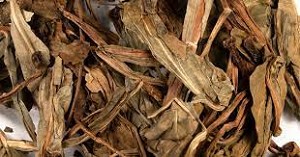Deer tongue Leaf Whole 20 lbs