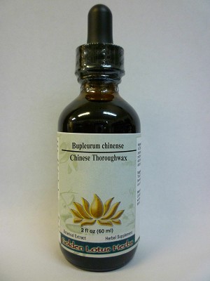 Bupleurum Root / Bupleurum chinense Single Herb Alcohol Fluid Extract