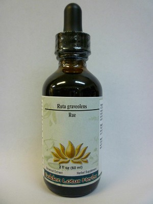 Rue Herb / Ruta graveolens Single Herb Alcohol Fluid Extract
