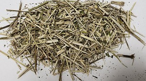 Figwort Herb, Whole 20 lbs