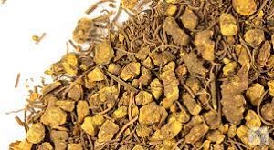Goldenseal Root Cut & Sifted 20 lbs