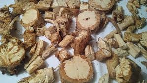 Lomatium Root Whole 1 lb