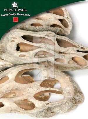 Lotus Root  Whole: 500 gm (1.17 lb)