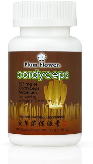 Cordyceps - Dong Chong Xia Cao Capsules 100 capsules