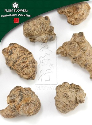 Noto Ginseng Root - Large Whole: 500 gm (1.17 lb)