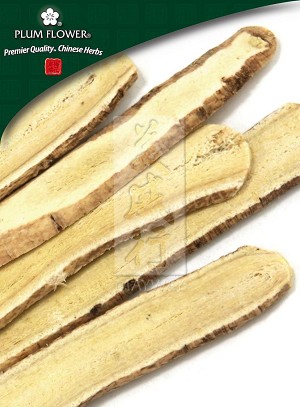 Astragalus Root - Large Whole: 500 gm (1.17 lb)