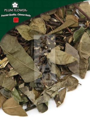 Star Jasmine Vine Whole: 500 gm (1.17 lb)