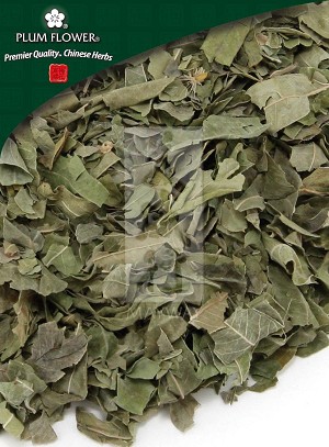 Dogbane Leaf Whole: 500 gm (1.17 lb)