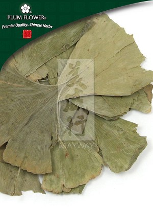 Ginkgo Leaf Whole: 500 gm (1.17 lb)