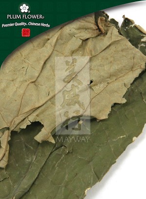 Loquat Leaf Whole: 250 gm (8.9 oz)