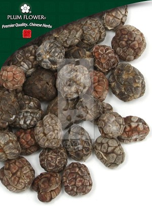 Amomum Fruit - No Shell Whole: 500 gm (1.17 lb)