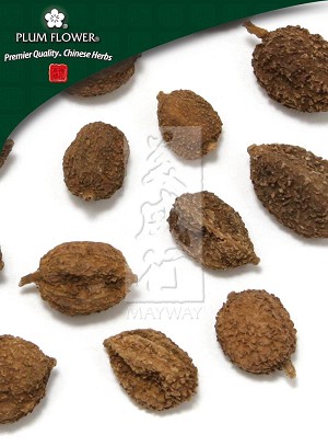 Amomum Fruit Shell Only Whole: 500 gm (1.17 lb)