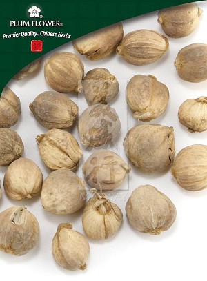 Cardamom (Cardamon) Fruit - Round Whole: 500 gm (1.17 lb)