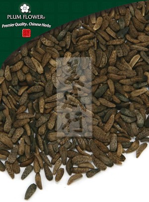 Burdock Seed Whole: 500 gm (1.17 lb)