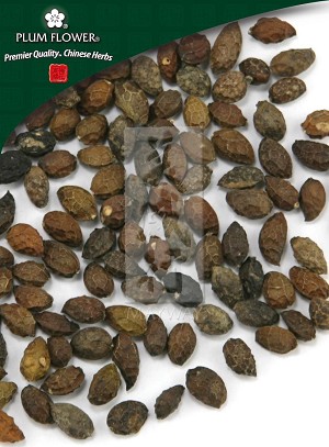 Brucea Fruit Whole: 500 gm (1.17 lb)