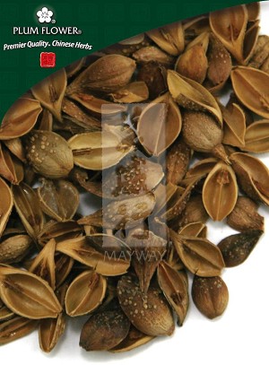 Forsythia Fruit Whole: 500 gm (1.17 lb)