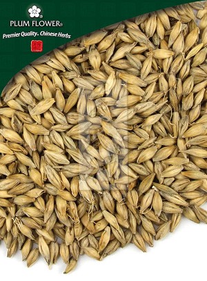 Barley Sprout 500 gm (1.17 lb)