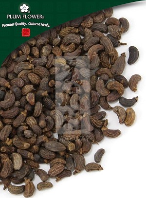 Glossy Privet Fruit 500 gm (1.17 lb)
