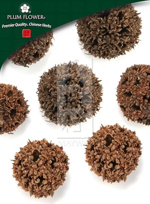 Sweetgum Fruit 500 gm (1.17 lb)