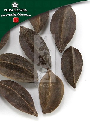 Rangoon Creeper Fruit  Whole: 500 gm (1.17 lb)