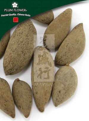 Gall Nut Of Chinese Sumac 500 gm (1.17 lb)