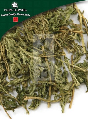 Spikemoss Herb Whole: 250 gm (1.17 lb)