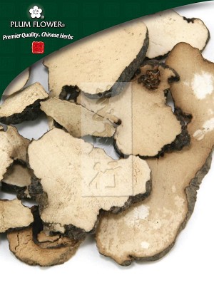 Polyporus Sclerotium Whole: 500 gm (1.17 lb)