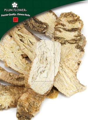 Adenophora tetraphylla Root Whole: 500 gm (1.17 lb)