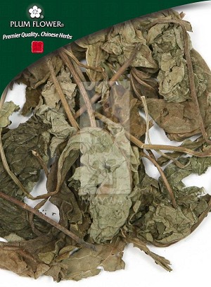 Clerondendron Herb Whole: 500 gm (1.17 lb)