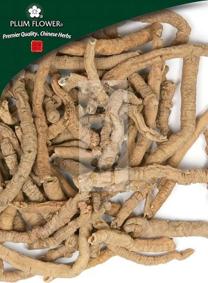Polygala Root - Medium Whole: 500 gm (1.17 lb)
